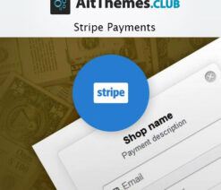 AIT Stripe Payments