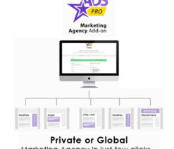 Ads Pro Add-on  WordPress Marketing Agency