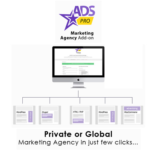 Ads Pro Add-on  WordPress Marketing Agency