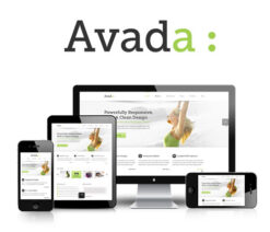 Avada | Responsive Multi-Purpose Theme