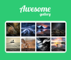 Awesome Gallery