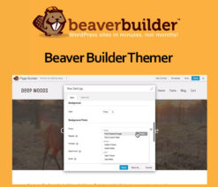 Beaver Builder Themer