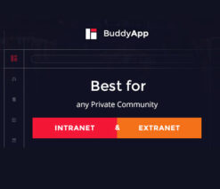 BuddyApp  Mobile First Community WordPress Theme
