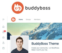 BuddyBoss Theme