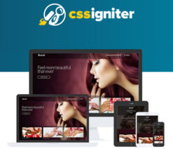 CSS Igniter Beaute WordPress Theme