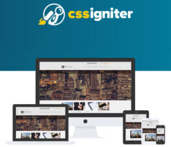 CSS Igniter BusinessTwo WordPress Theme