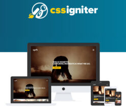 CSS Igniter Vignette  WordPress Theme