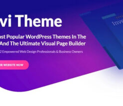 Divi WordPress Theme  (with pre-made layouts)