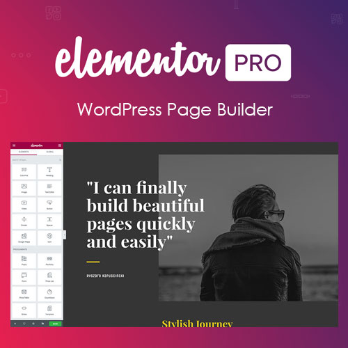 Elementor PRO WordPress Page Builder   Pro Templates Jual Theme