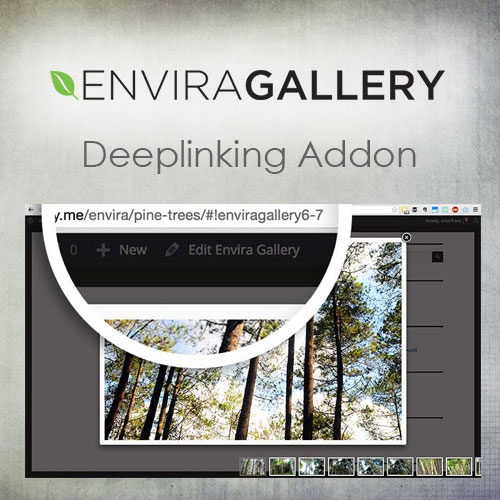 Envira Gallery  Deeplinking Addon
