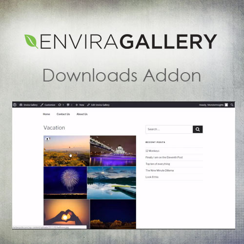 Envira Gallery  Downloads Addon