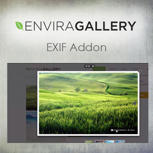 Envira Gallery  EXIF Addon