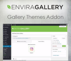 Envira Gallery  Instagram Addon
