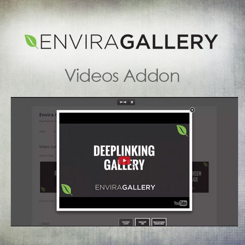 Envira Gallery  Videos Addon