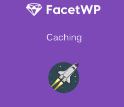 FacetWP  Caching