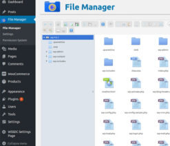 File Manager Plugin For WordPress