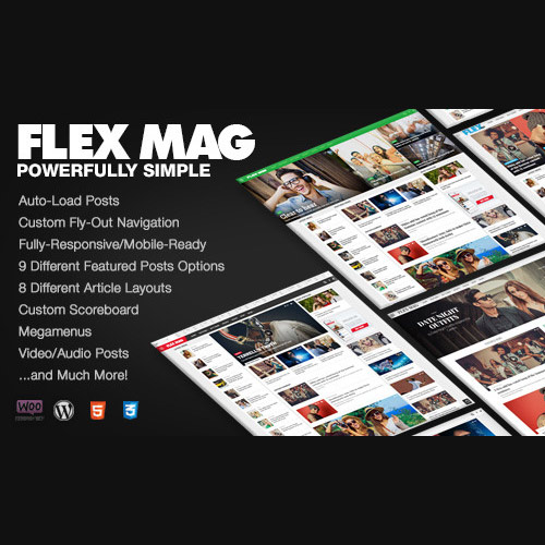 Flex Mag  Responsive WordPress News Theme