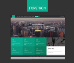 Forstron  Legal Business WordPress Theme