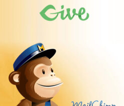 Give  MailChimp