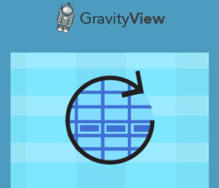 GravityView  DataTables Extension