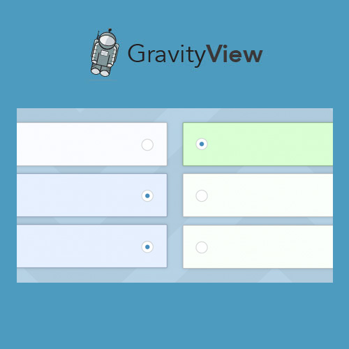 GravityView  Entry Revisions