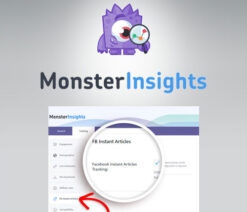 MonsterInsights  Facebook Instant Articles Addon