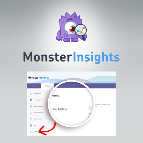 MonsterInsights  Forms Tracking Addon