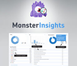 MonsterInsights Pro Google Analytics Premium