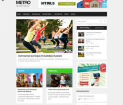 MyThemeShop Metro WordPress Theme