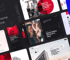 Ohio  - Creative Portfolio & Agency Theme