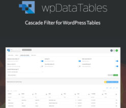 Powerful Filters for wpDataTables