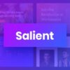 Salient  - Multi-Purpose WordPress Theme