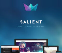 Salient  Responsive Multi-Purpose Theme