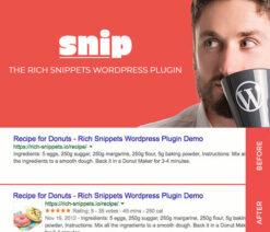 Snip  The Rich Snippets