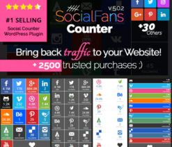 SocialFans  WP Responsive Social Counter Plugin