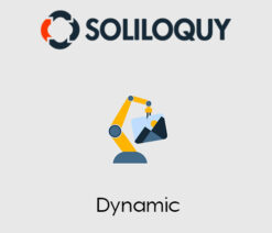 Soliloquy Dynamic Addon