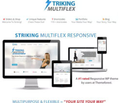 Striking MultiFlex & Ecommerce Responsive WP Theme