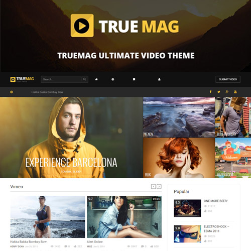 True Mag  WordPress Theme for Video and Magazine