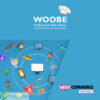 WOOBE  WooCommerce Bulk Editor Professional