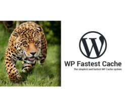 WP Fastest Cache WordPress Plugin  Premium