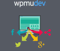 WPMU DEV Comments Plus