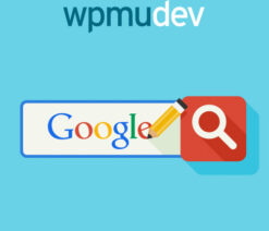 WPMU DEV Custom Google Search