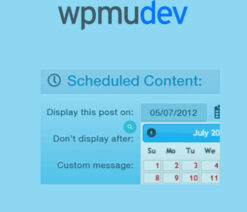 WPMU DEV Schedule Selected Content