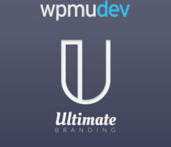 WPMU DEV Ultimate Branding