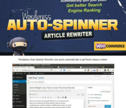 WordPress Auto Spinner  Articles Rewriter