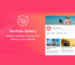 YouTube Plugin  WordPress Gallery for YouTube