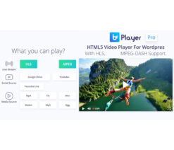 bzplayer Pro  Live Streaming Player WordPress Plugin