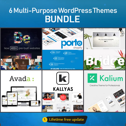 6 Multi-Purpose WordPress Themes  BUNDLE