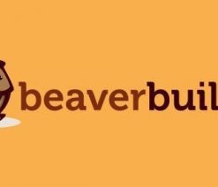 Beaver Themer WordPress Plugin