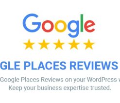 Google Places Reviews Pro